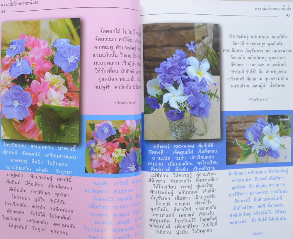 พรรณไม้งามพาเพลินใจ (ขายตามสภาพ)