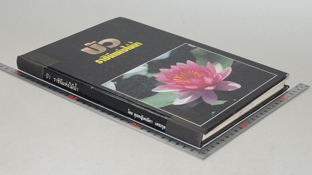 บัว ราชินีแห่งไม้น้ำ (ขายตามสภาพ)