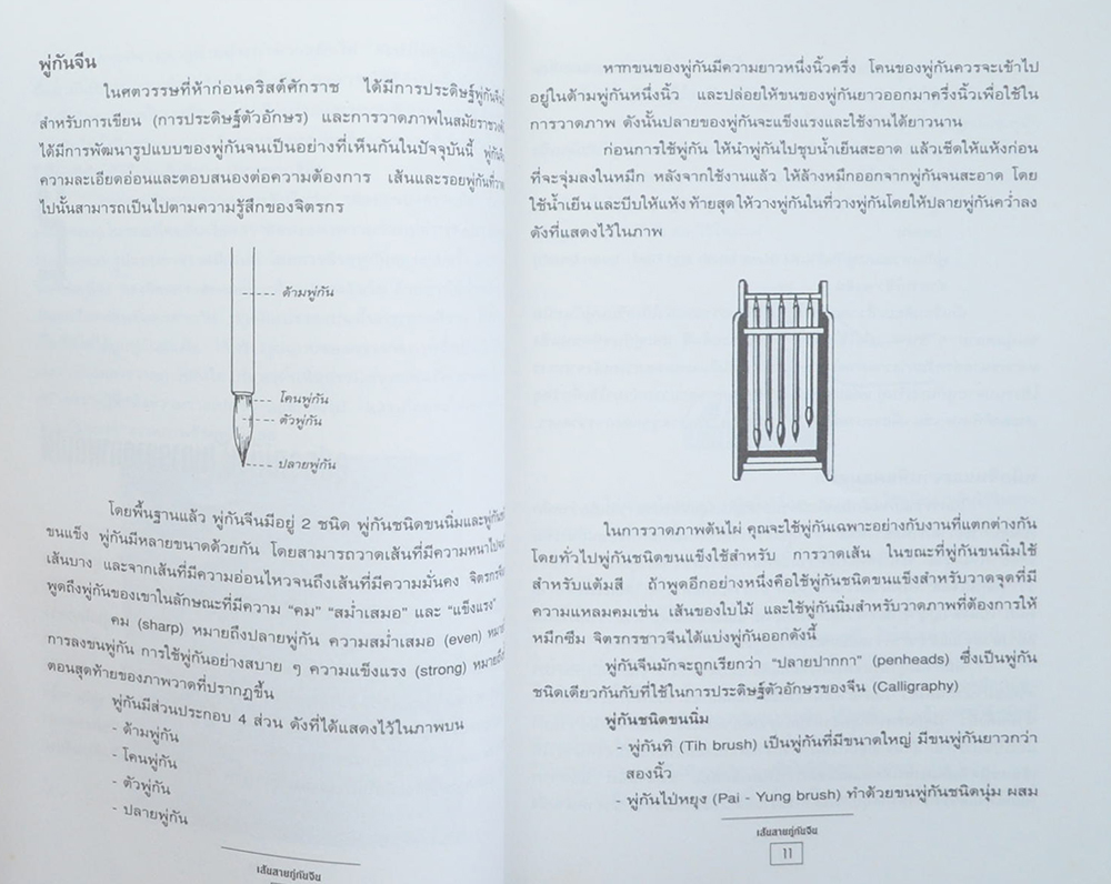 เส้นสายภู่กันจีน