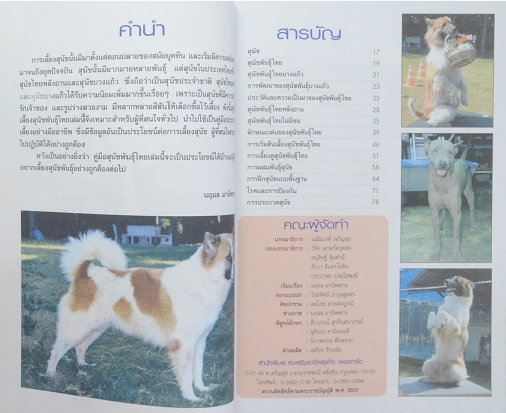 หมาไทย