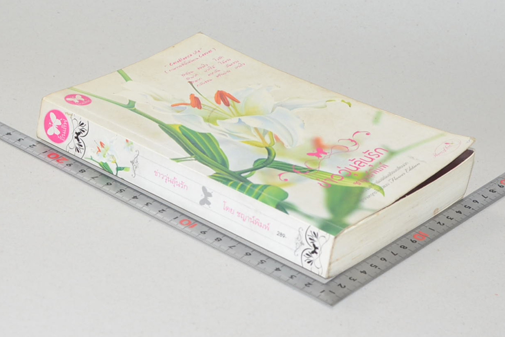 ข่าววุ่นลุ้นรัก