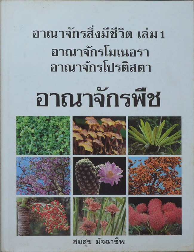 อาณาจักรสิ่งมีชีวิต เล่ม 1 อาณาจักรพืช