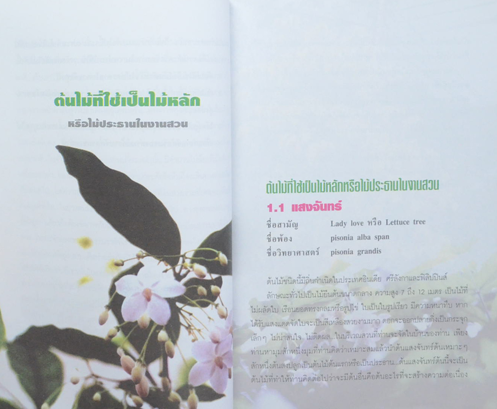 พันธุ์ไม้ในงานจัดสวน ชุดคู่มือการจัดสวนด้วยตนเอง 1