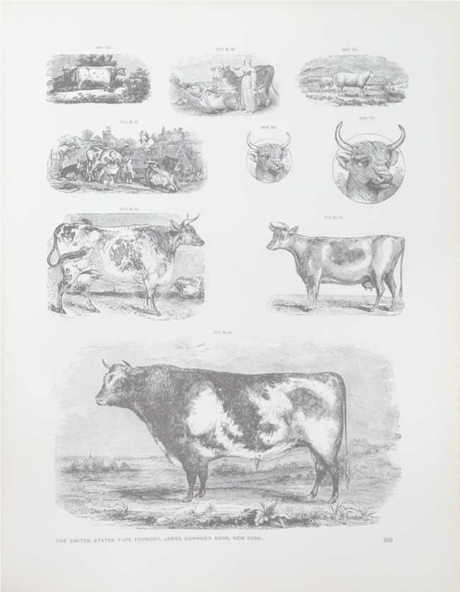 JAMES CONNER’S SONS ELEC TROTYPE SPECIMENS 1888