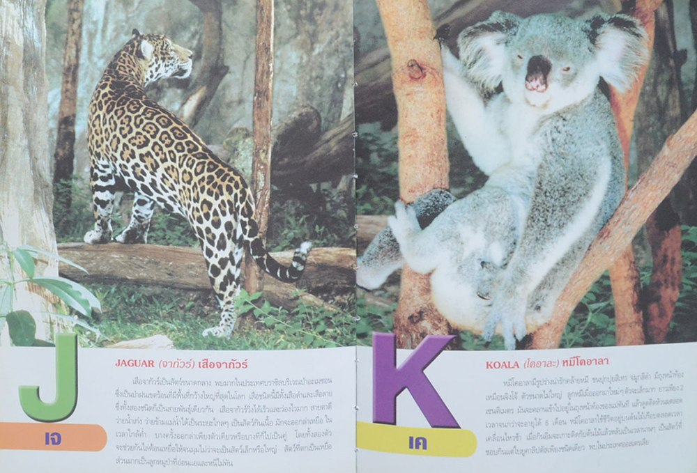 เด็กเรียนรู้สัตว์โลก ABC