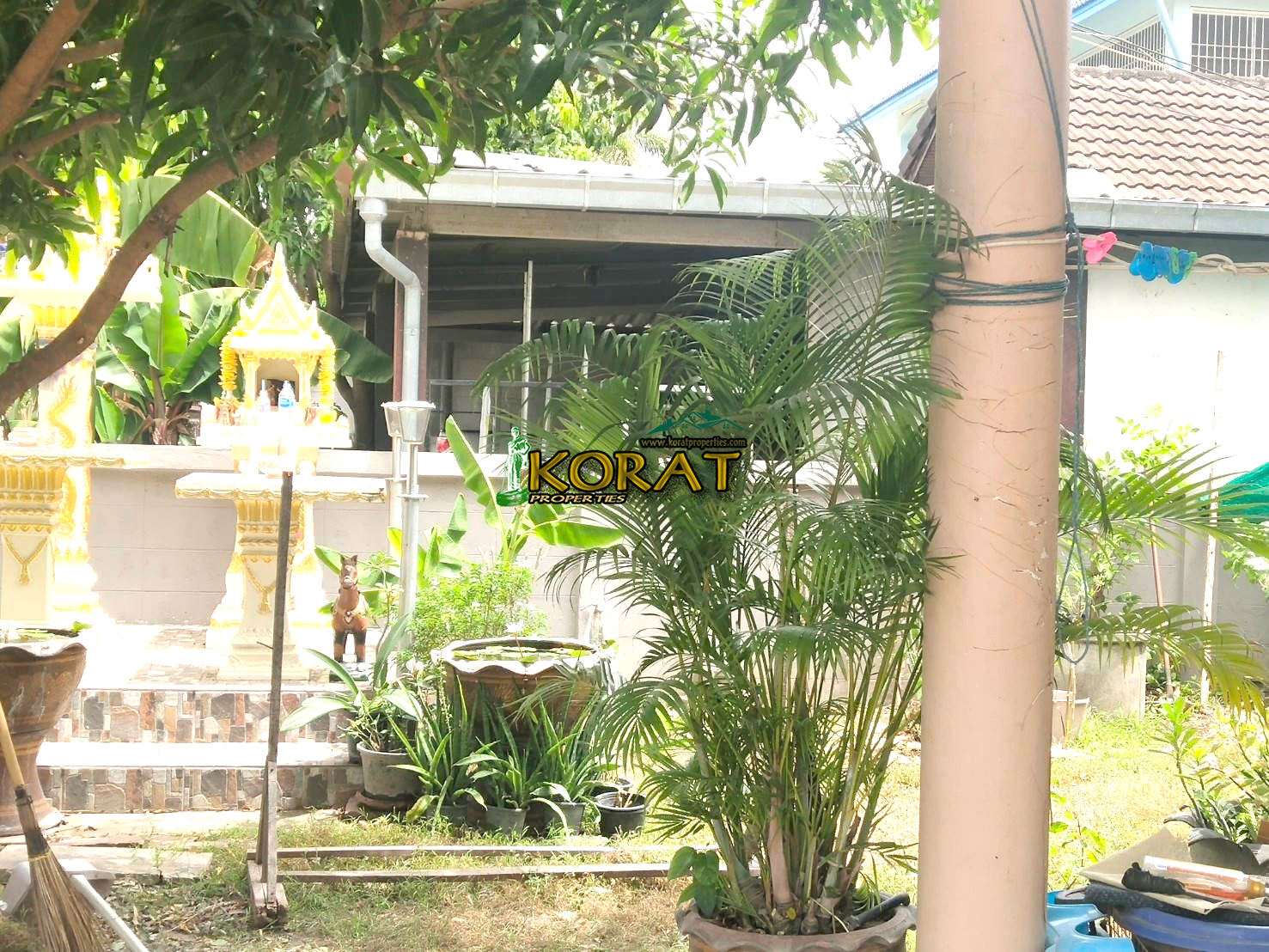 ขายบ้านเดี่ยว ชั้นเดียว 65 ตรว. โซน เจ้าสัว # รหัสทรัพย์ KP-0137