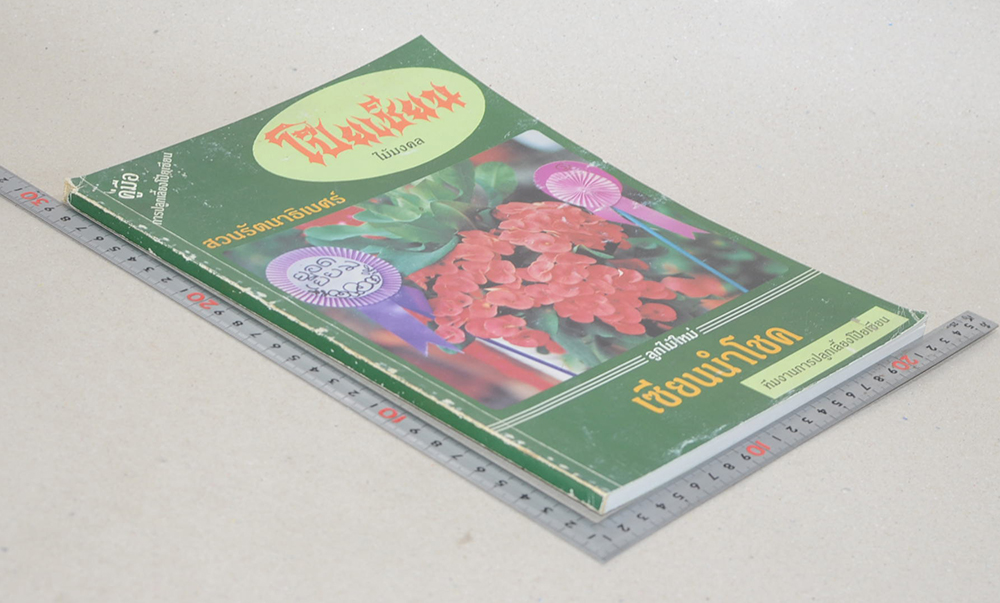 โป๊ยเซียน ไม้มงคล