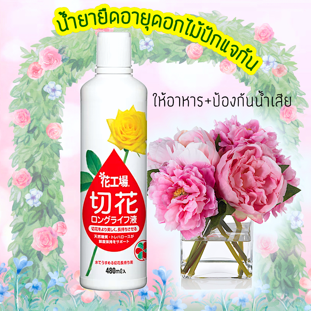 "Cut Flower Food"น้ำยายืดอายุดอกไม้ปักแจกัน ป้องกันน้ำเน่าเสีย ให้ดอกไม้สดใสคงทน