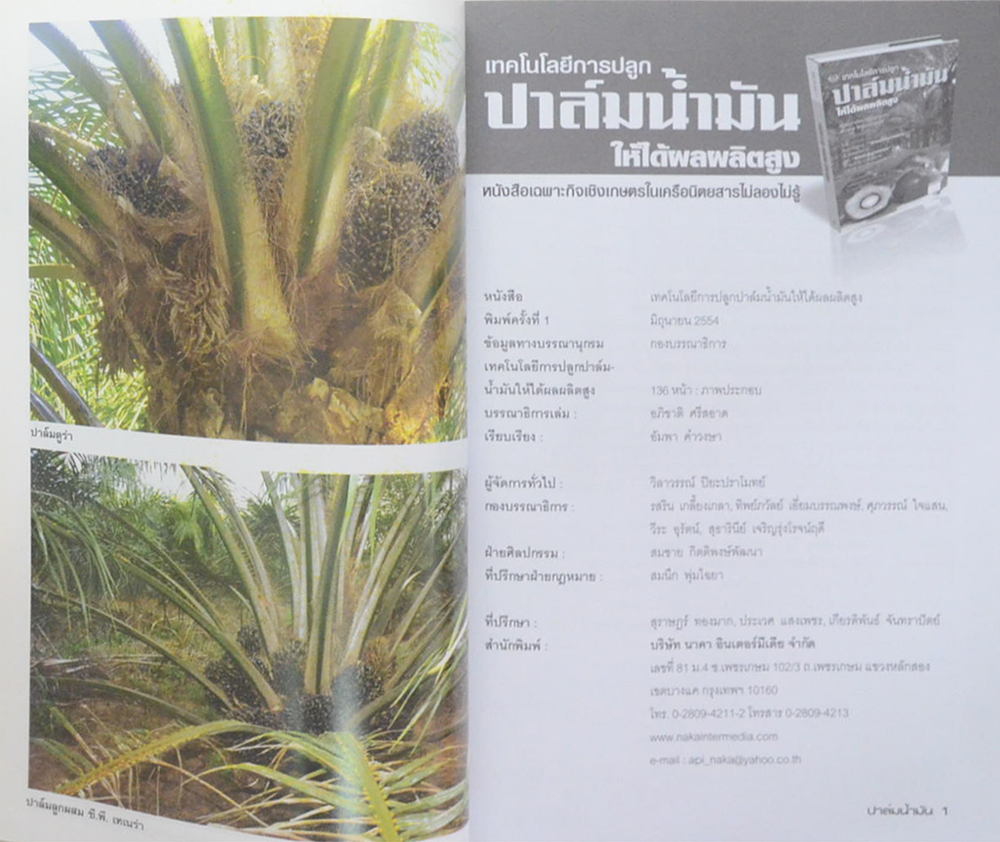 เทคโนโลยีการปลูก ปาล์มน้ำมัน ยุคใหม่