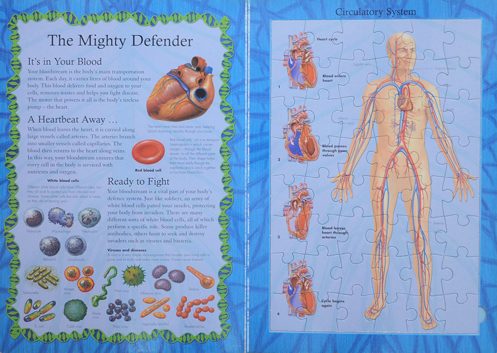 THE HUMAN BODY JIGSAW BOOK