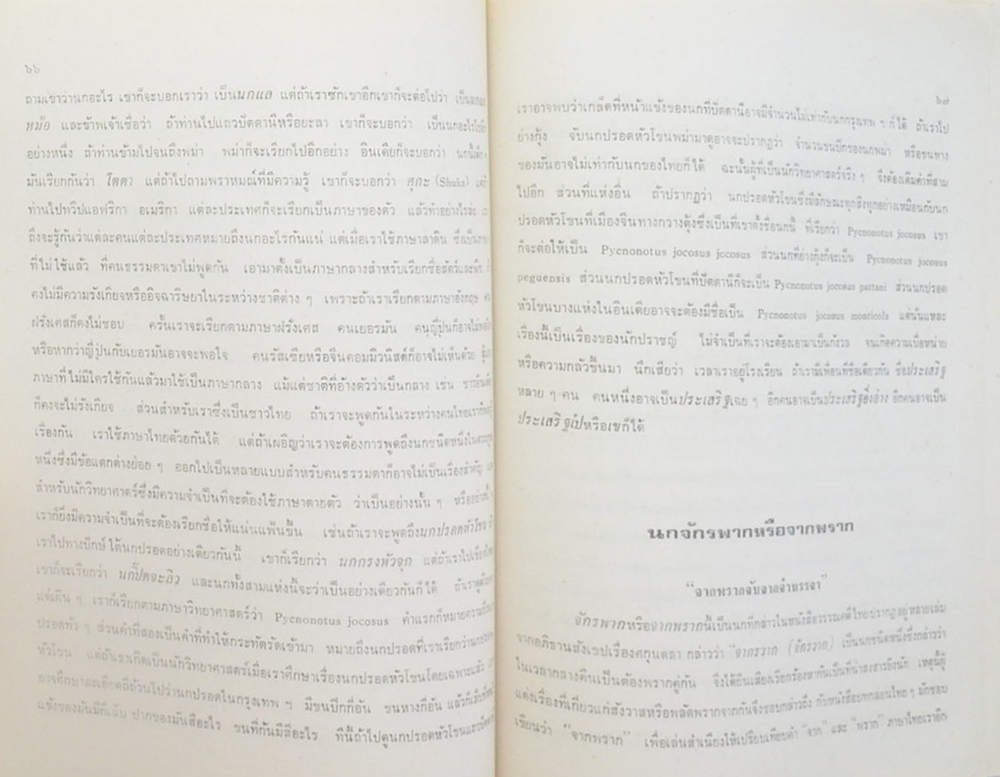 สุพันธ์ โตสุนทร (นก) (ขายตามสภาพ)