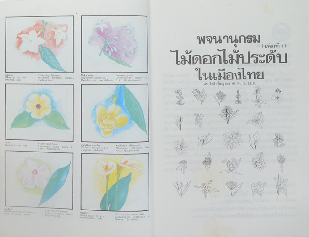 พจนานุกรมไม้ดอกไม้ประดับในเมืองไทย