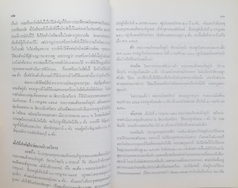 โพธิใต้แม่