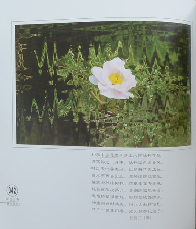 Guose tianxiang caozhoumudan (พร้อมกล่อง)