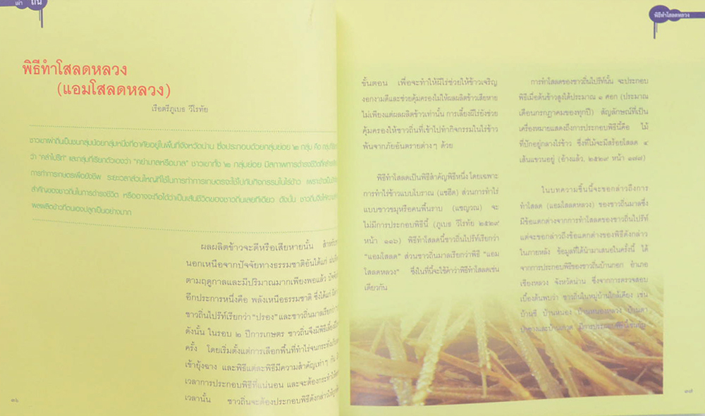 ชาวเขาเผ่า ถิ่น