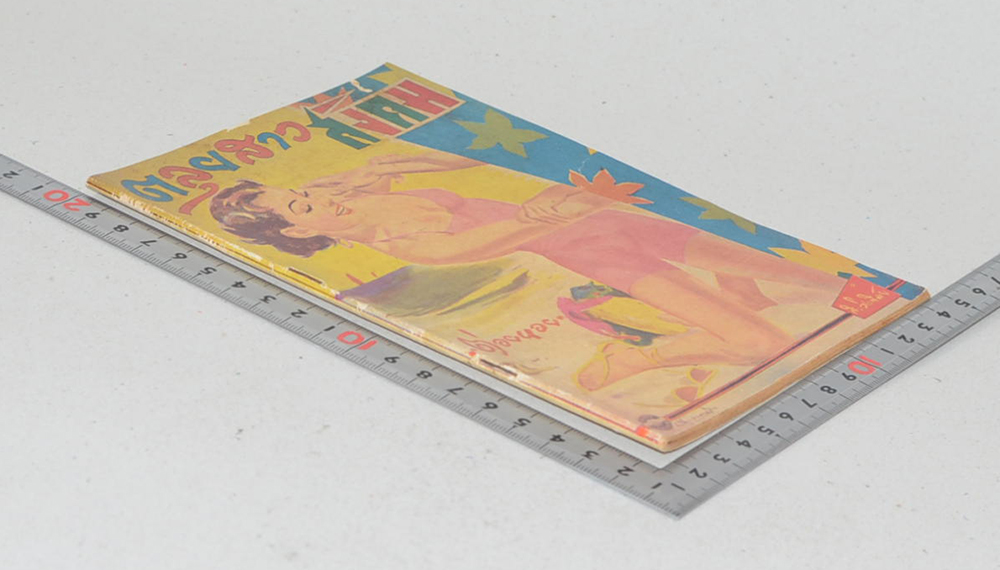 ตลุยสาวสังคม (เล่ม 2)