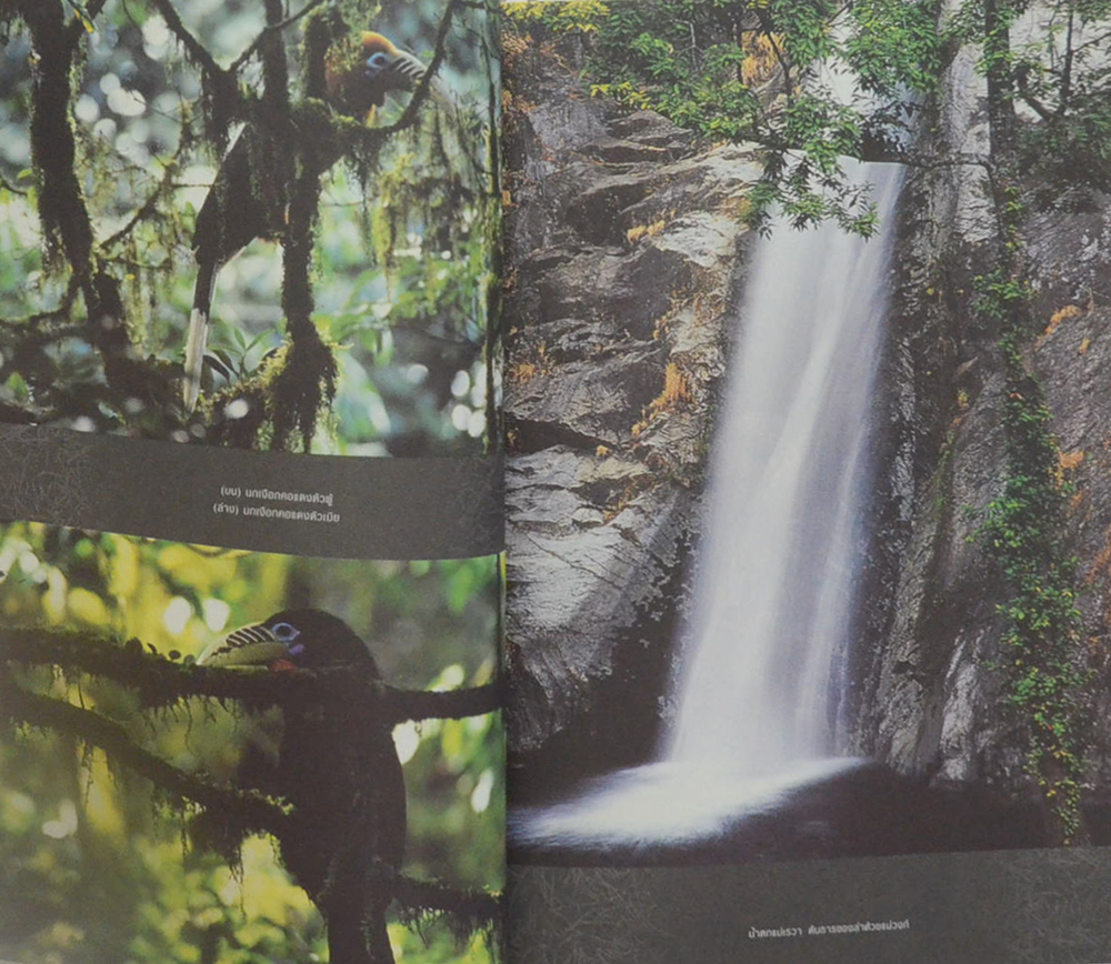 รอยเท้าบนภูเขา