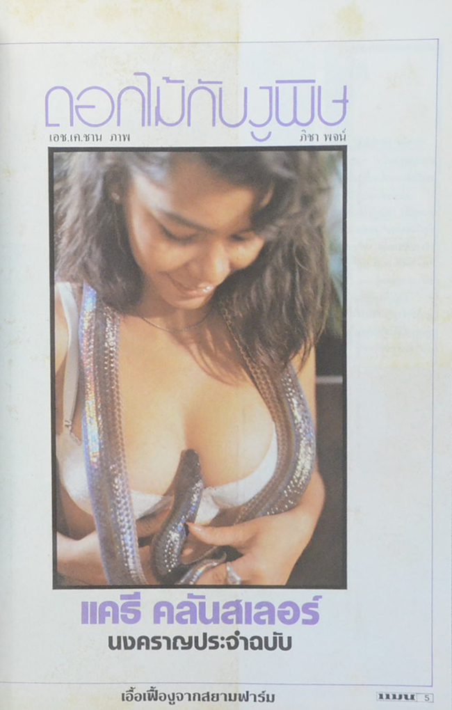 แมน ปีที่ 8 เล่มที่ 54 พฤศจิกายน 2522