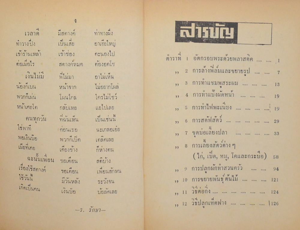 แนะวิชาชีพร้อยแปด