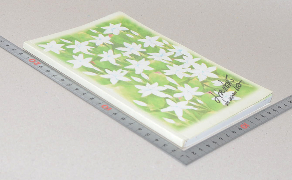 คุณแม่ม่วย แซ่ตั้ง (สวนสมุนไพรไทย)