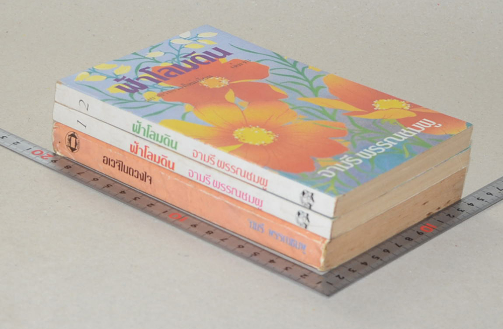 รวมเรื่อง (3 เล่ม / 2 เรื่อง)