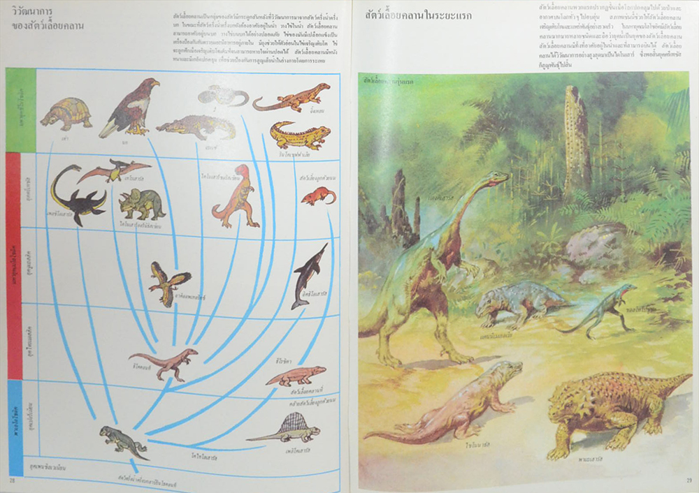 ชีวิต ยุคก่อนประวัติศาสตร์