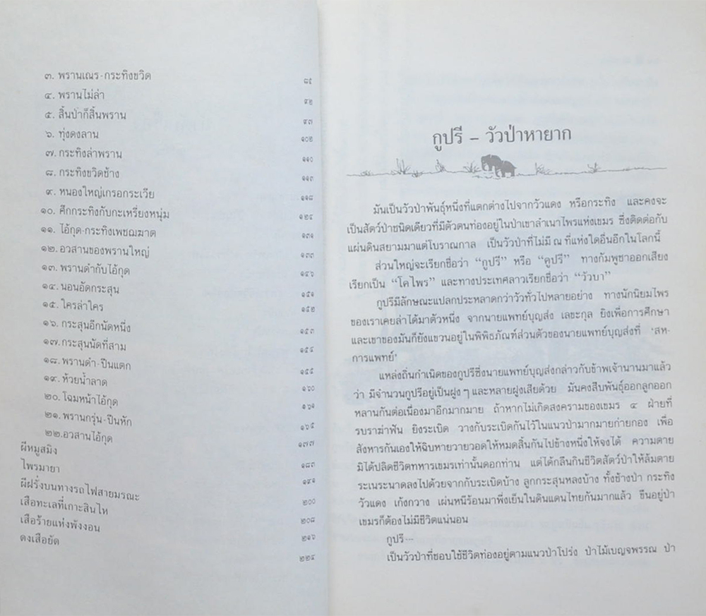ป่าโบราณ (ขายตามสภาพ)