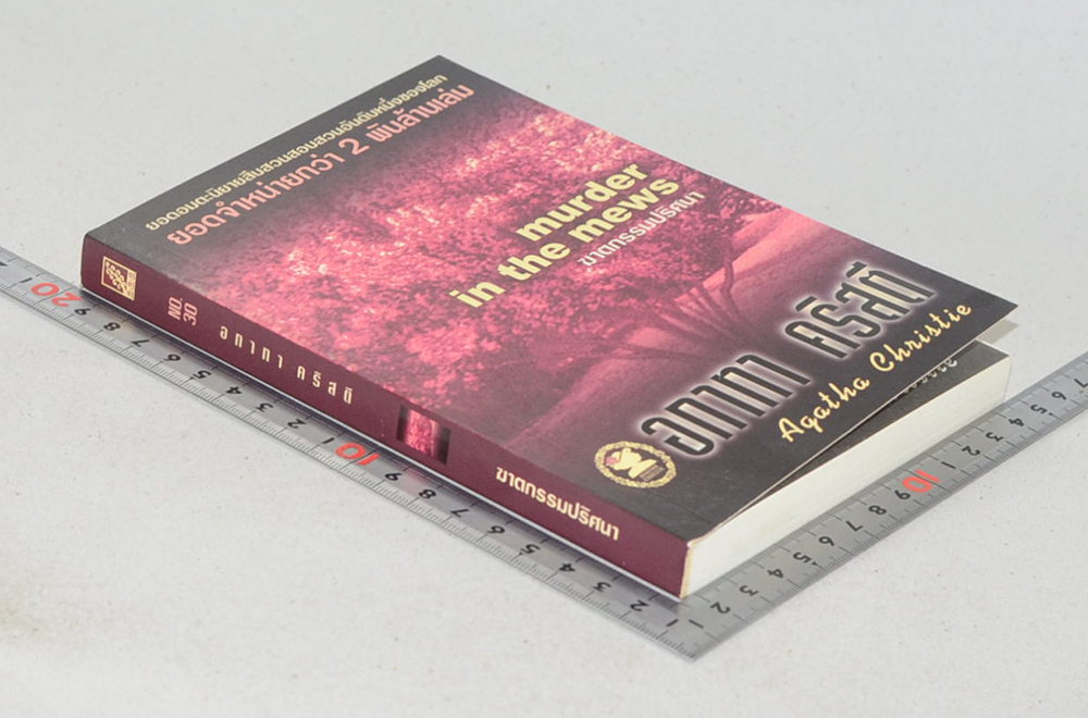 ฆาตกรรมปริศนา