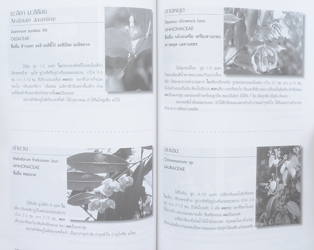 นายสรัญ มังคลัษเฐียร (เรื่องสมุนไพรไทยมรดกไทย)