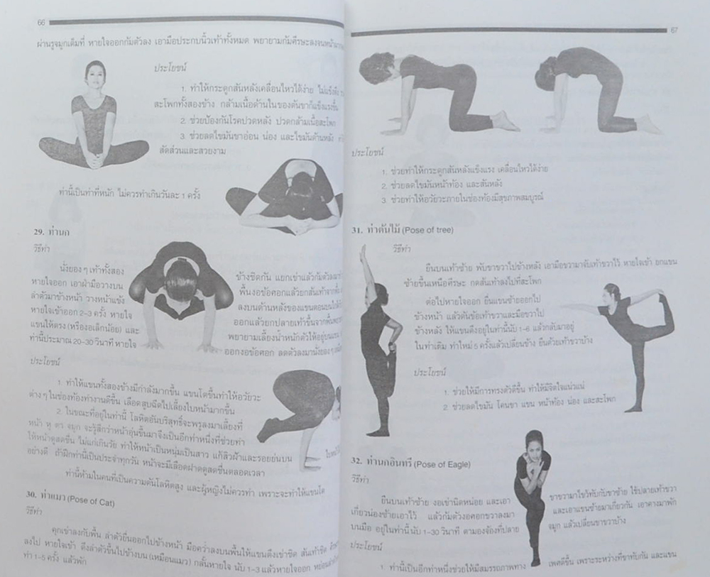 โยคะ เพื่อพลังกายและพลังจิต