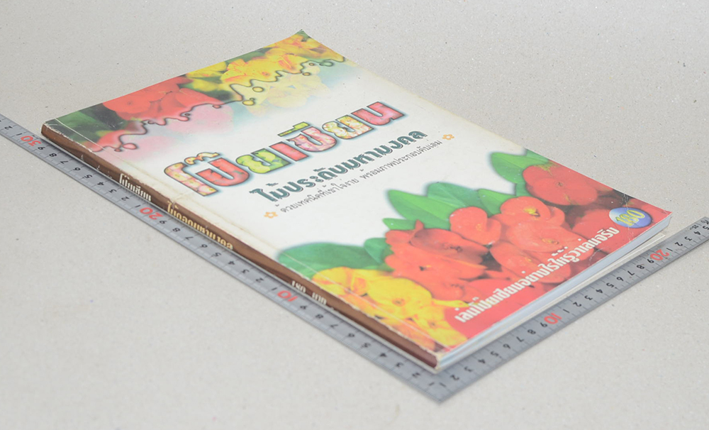 โป๊ยเซียน ไม้ประดับมหามงคล (เล่ม 1)