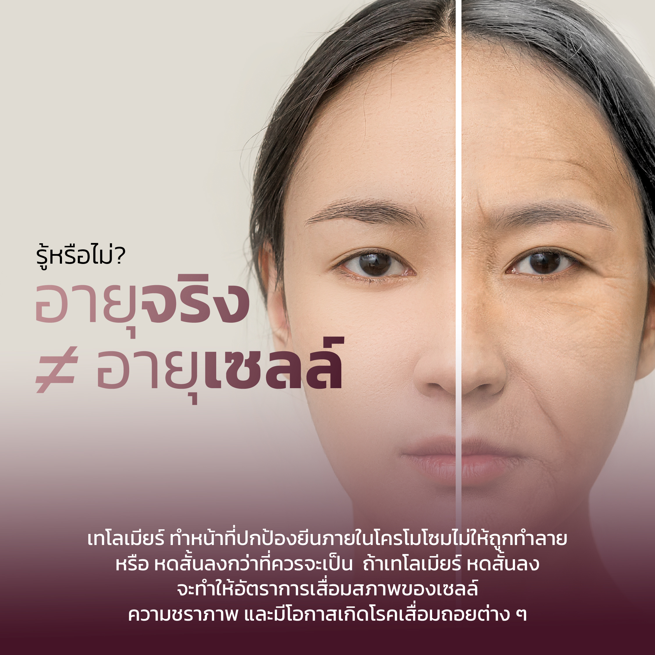 ไวตาเนเจอร์พลัส ดี แนกซ์9 (D-NAX9)