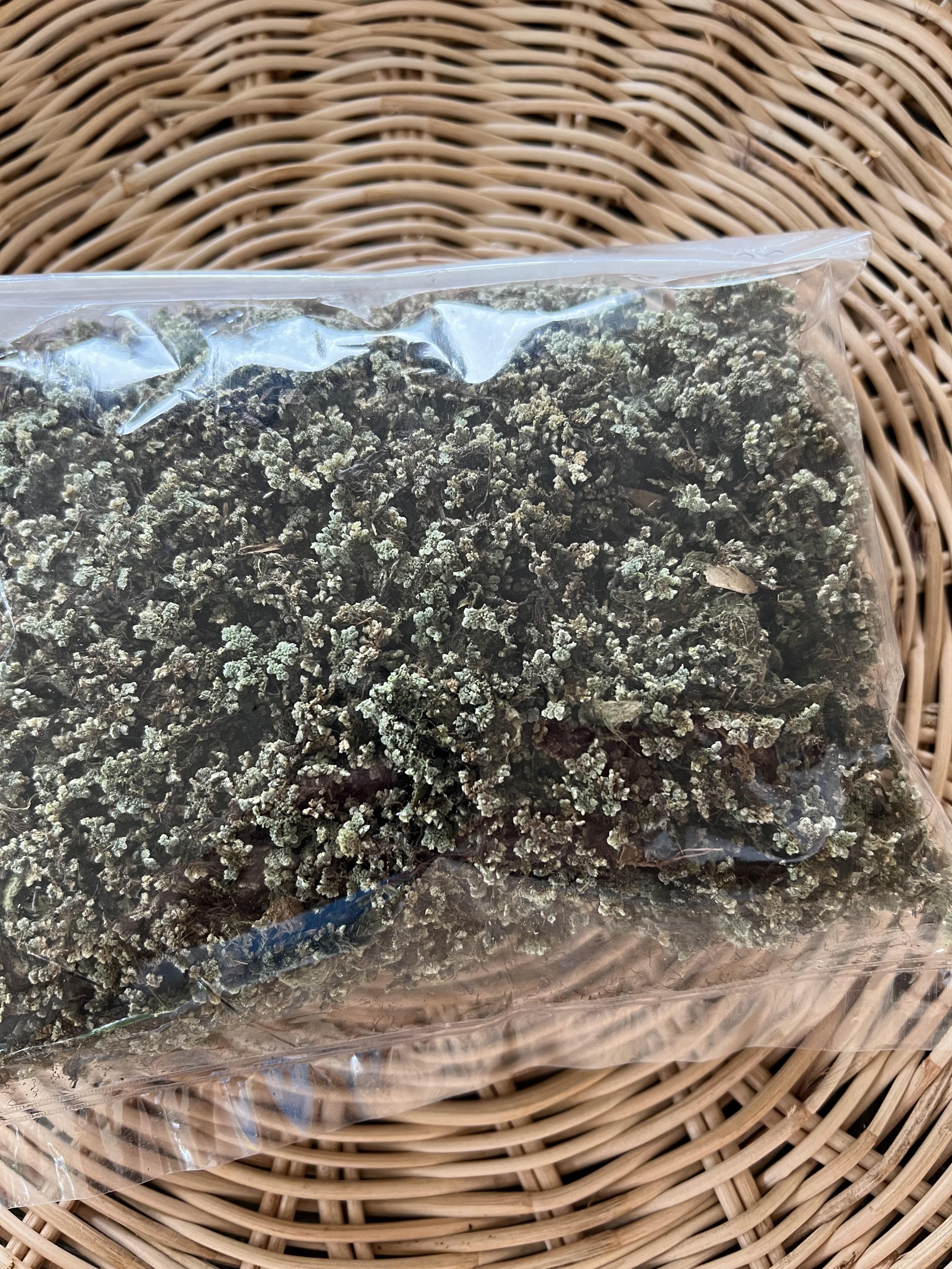 แหนแดงแห้ง แหนแดงตากแห้ง water fern