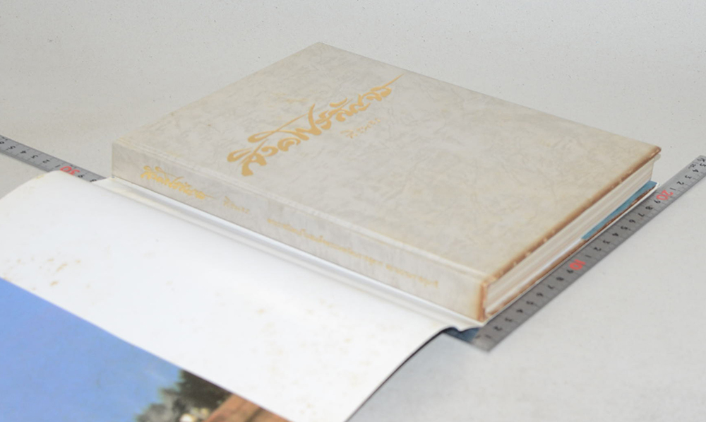 สิงคโปร์สัญจร