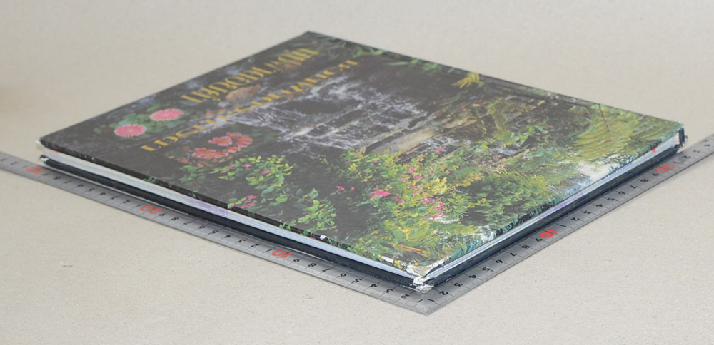 ชวนฝันตระการตา บุปผาดอยคำ (ขายตามสภาพ)