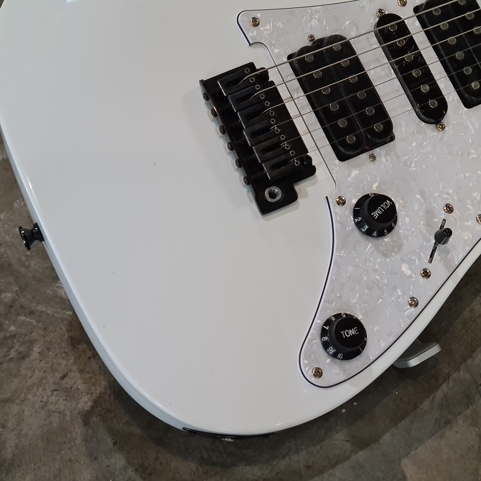 (BRAND NEW) Ibanez RGV250-WH