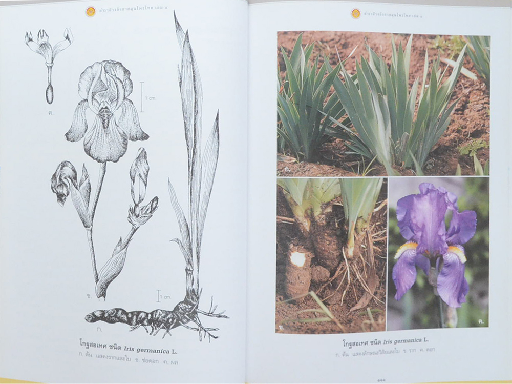 ตำราอ้างอิงยาสมุนไพรไทย เล่ม 1 (ขายตามสภาพ)