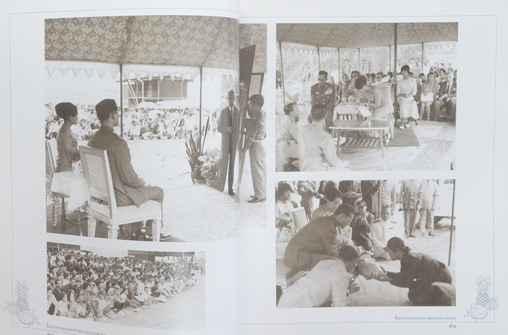 โครงการหุบกะพงและหนองพลับ