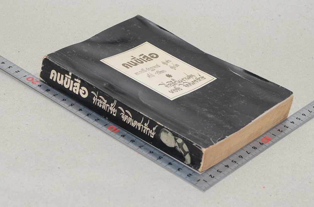 คนขี่เสือ