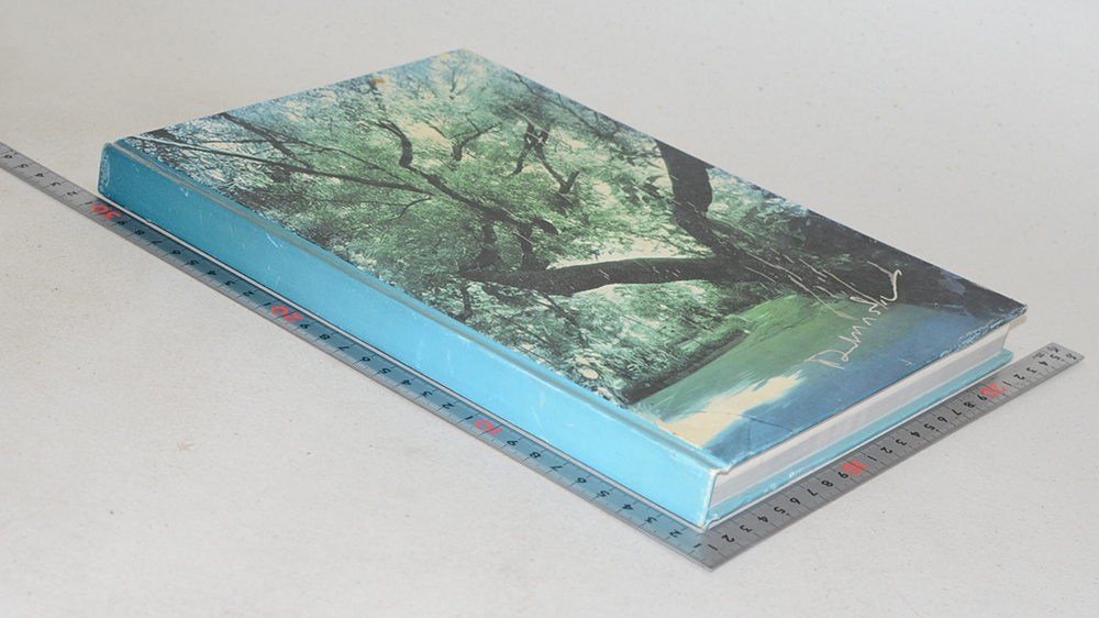 นายแพทย์สาโรจน์ อรรถวิภัชน์ (เรื่องที่เกี่ยวกับการแพทย์ยุคใหม่ในพุทธทัศน์)