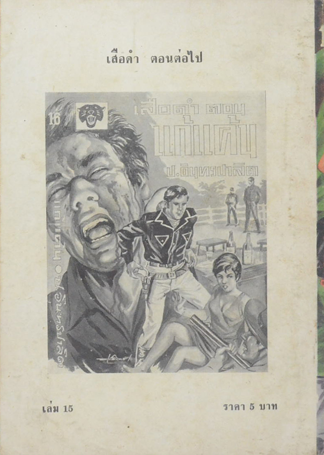 เสือดำ ตอน ถล่มเมืองโจร (เล่ม 15)