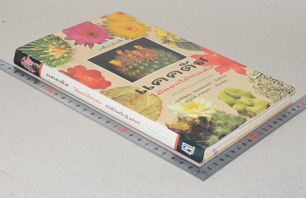 แคคตัส ไม้ดอกไม้ประดับ