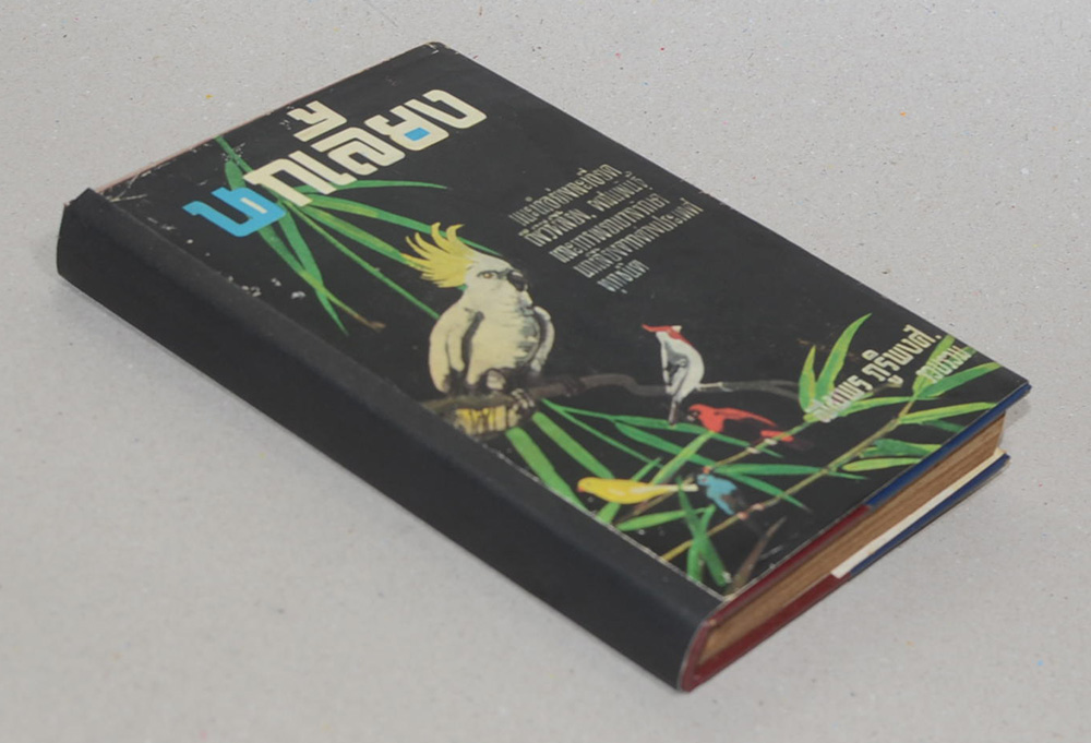 นกเลี้ยง