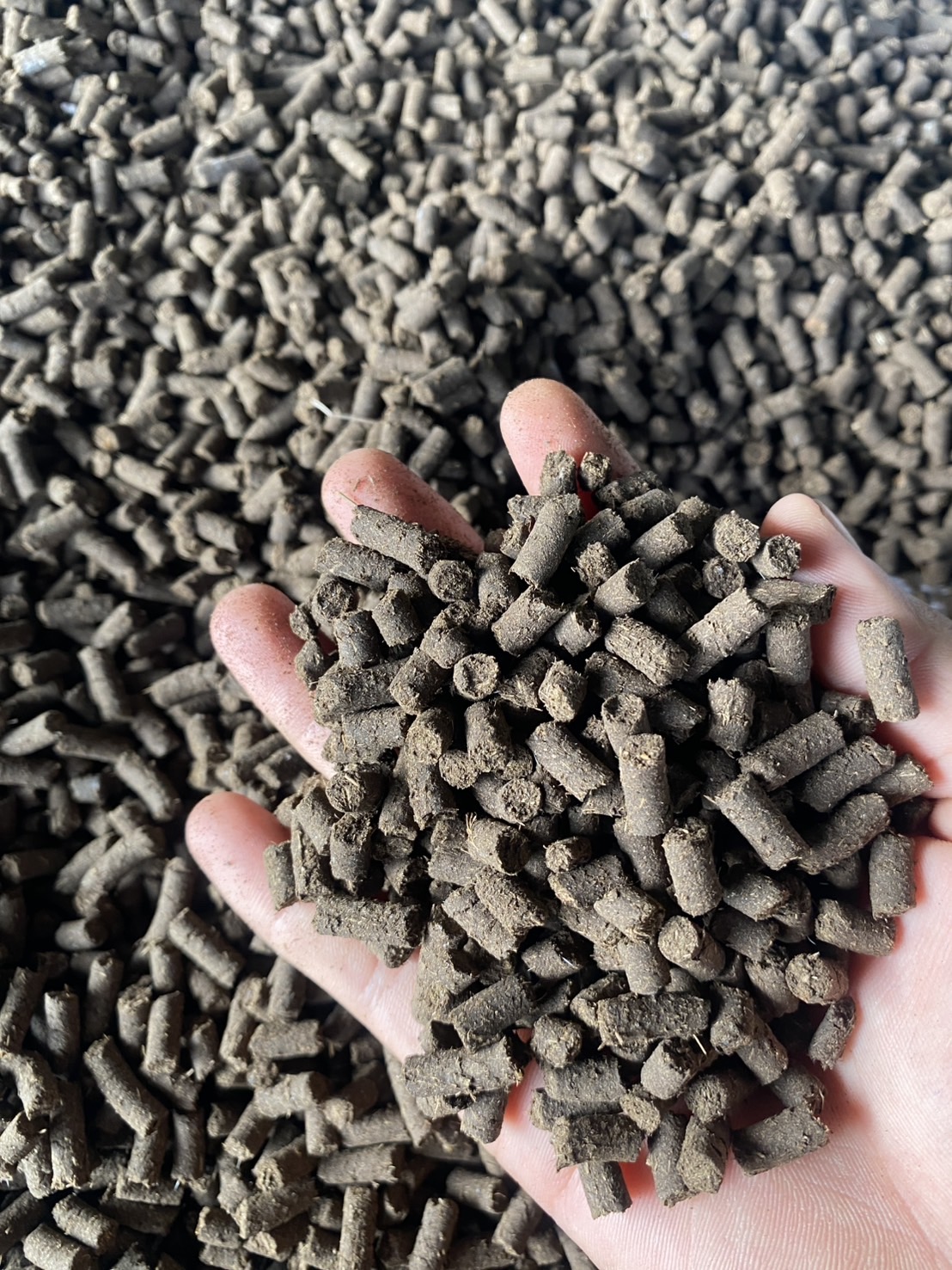 ปุ๋ยขี้วัวอัดเม็ดแท้ ปุ๋ยธรรมชาติ Organic Cow Manure Pellets
