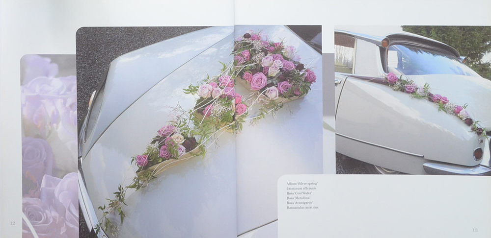 Flowers in Love Moniek Vanden Berghe