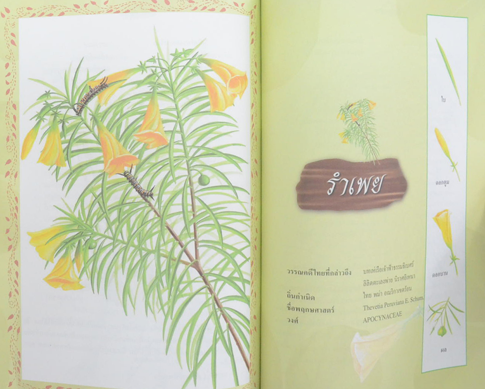 ดอกไม้ในวรรณคดีไทย