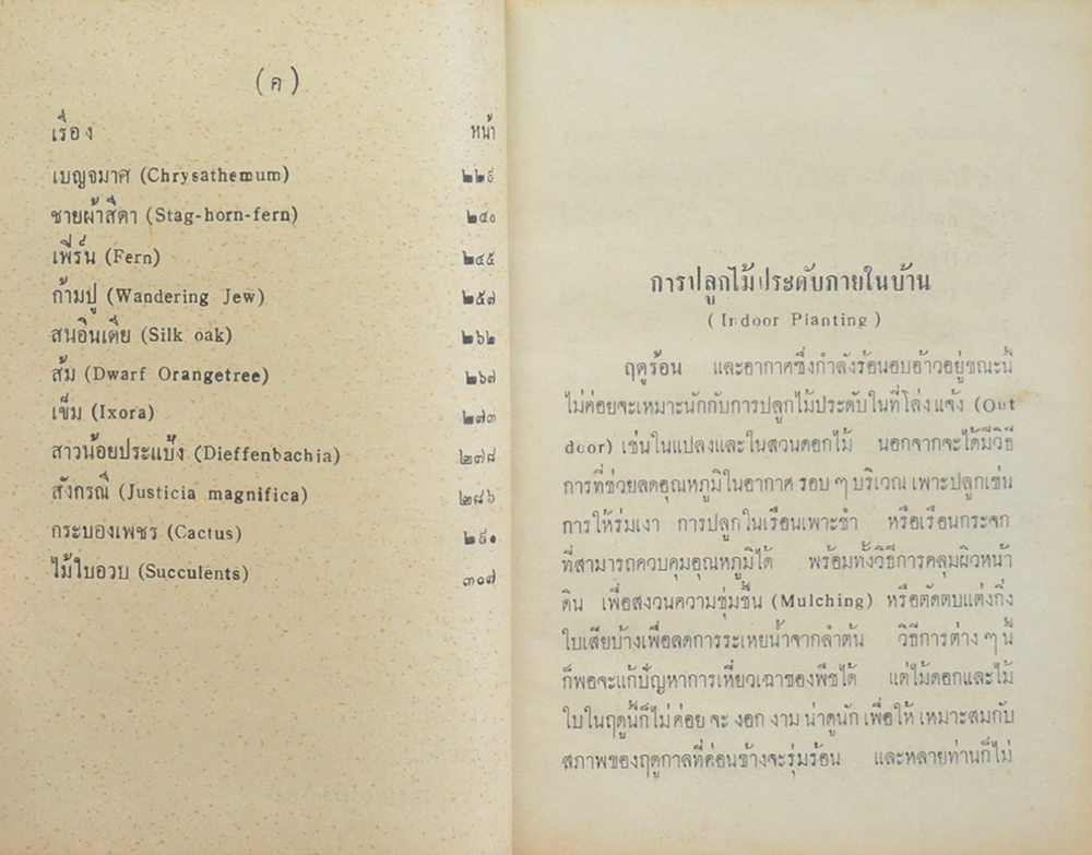 วิธีปลูกไม้ประดับบ้าน