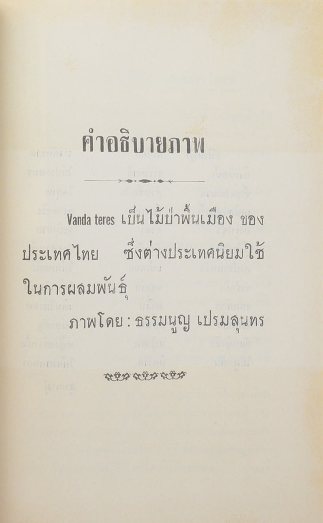 ทางทิพย์ (ความรู้บางอย่างเกี่ยวกับสตรี)