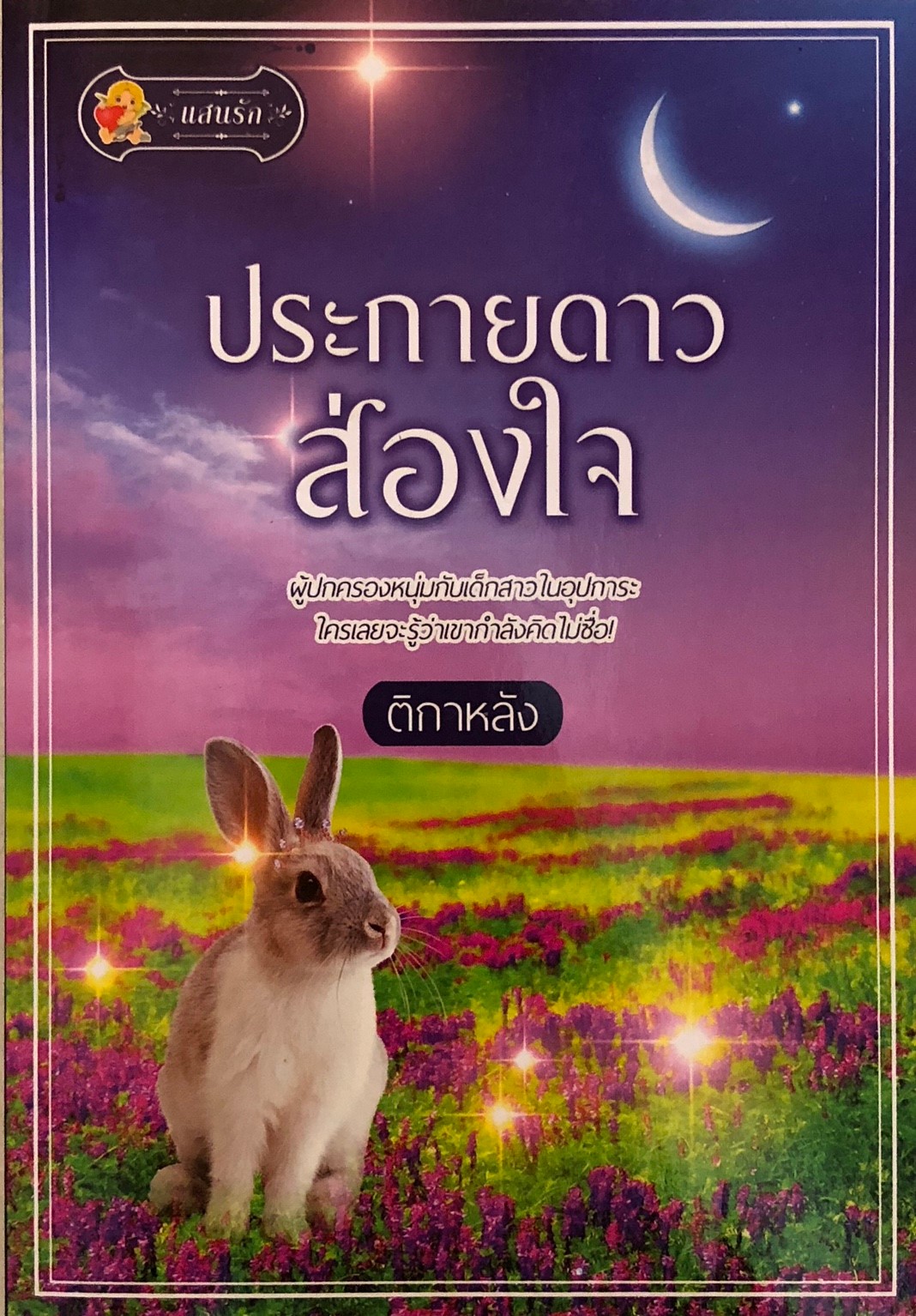 ประกายดาวส่องใจ