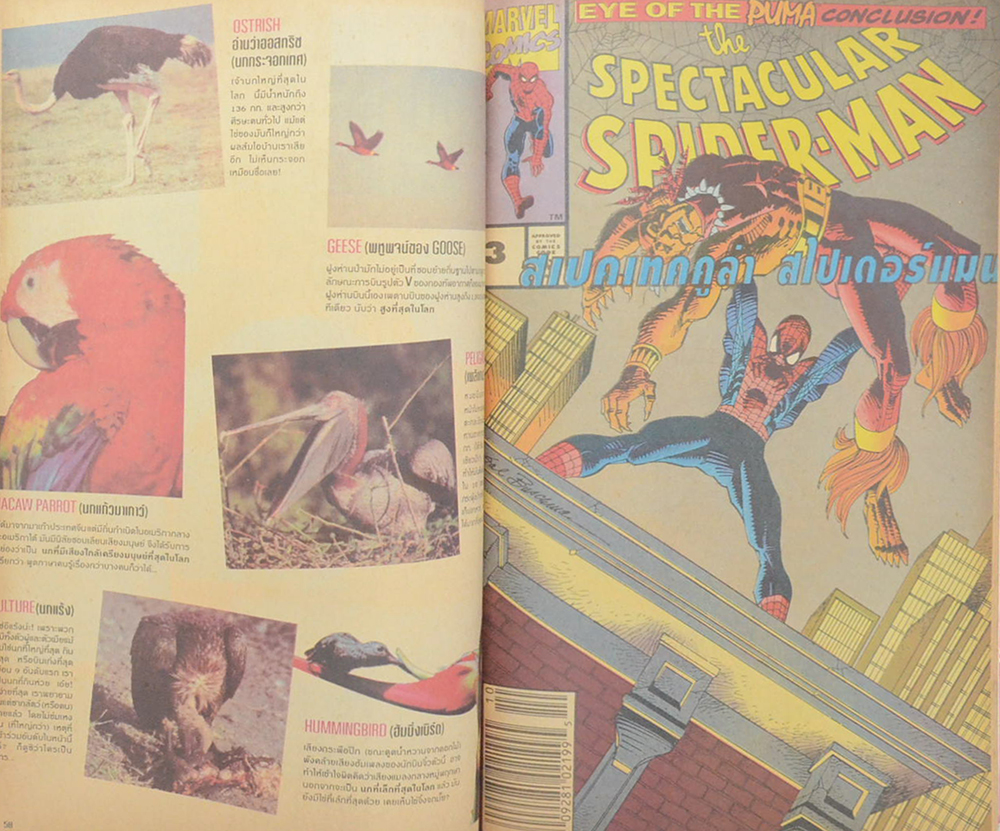 สไปเดอร์แม็กกาซีน ฉบับที่ 3
